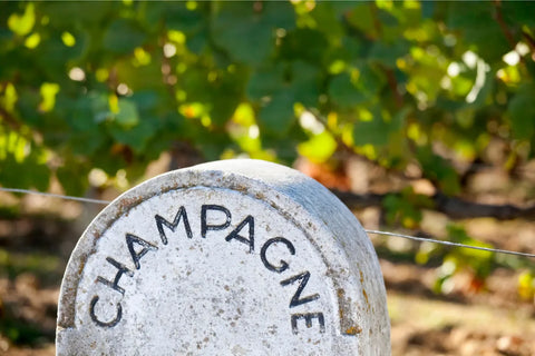 Différence entre Blanc de Blancs et Blanc de Noirs en champagne – guide caviste