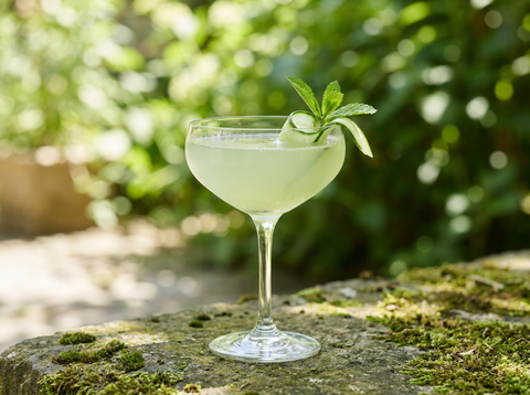 Verre coupe d'Eastside, cocktail au gin vert pâle avec concombre et menthe, lumière naturelle