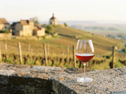 Coteaux du Beaujolais plantés de gamay au couchant, avec un verre de Beaujolais rouge rubis sur une terrasse de pierre.