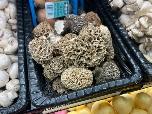 Morilles fraîches dans une cagette