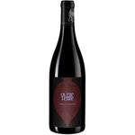 Domaine Thierry Germain Outre Terre Saumur Champigny 2019
