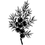 composition Gin