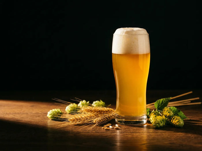 Verre de bière dorée, orge et houblon sur comptoir sombre