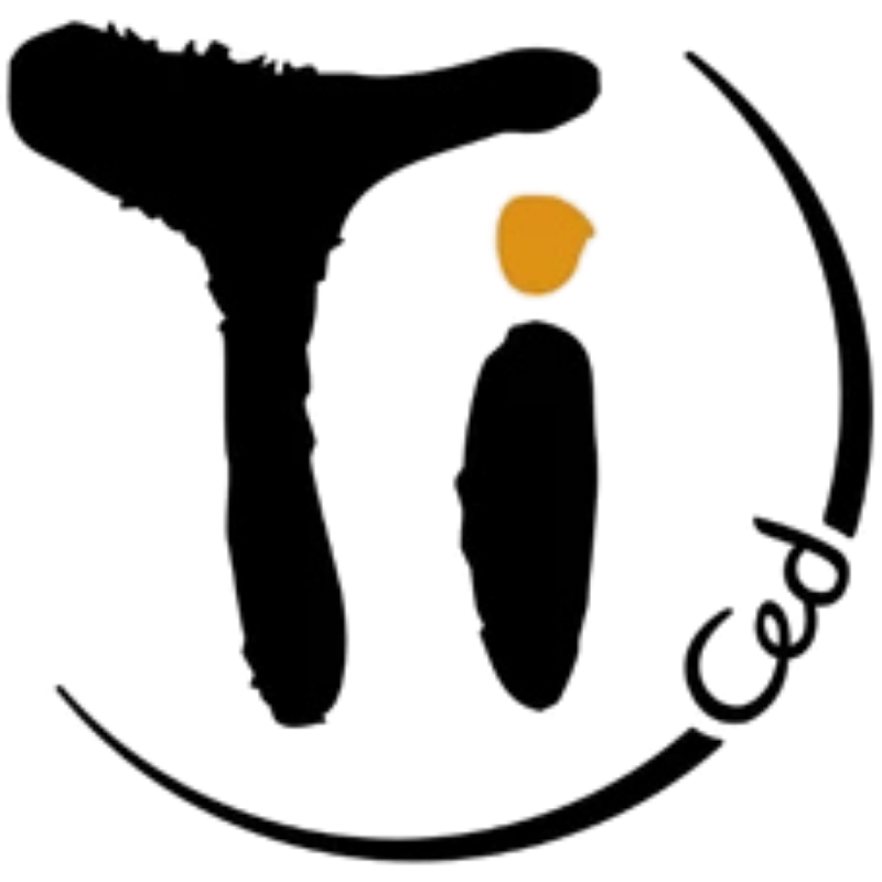 Logo Ti Ced